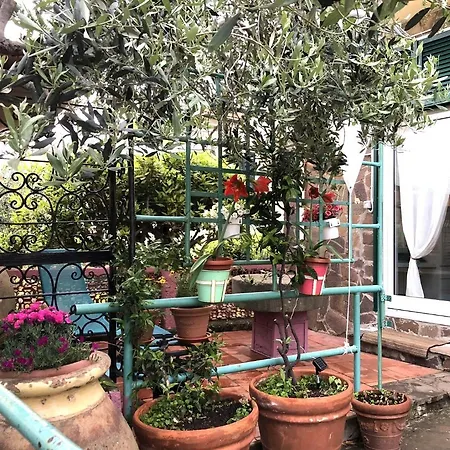 Gasthof Il Frantoio Di Olimpia Lerici